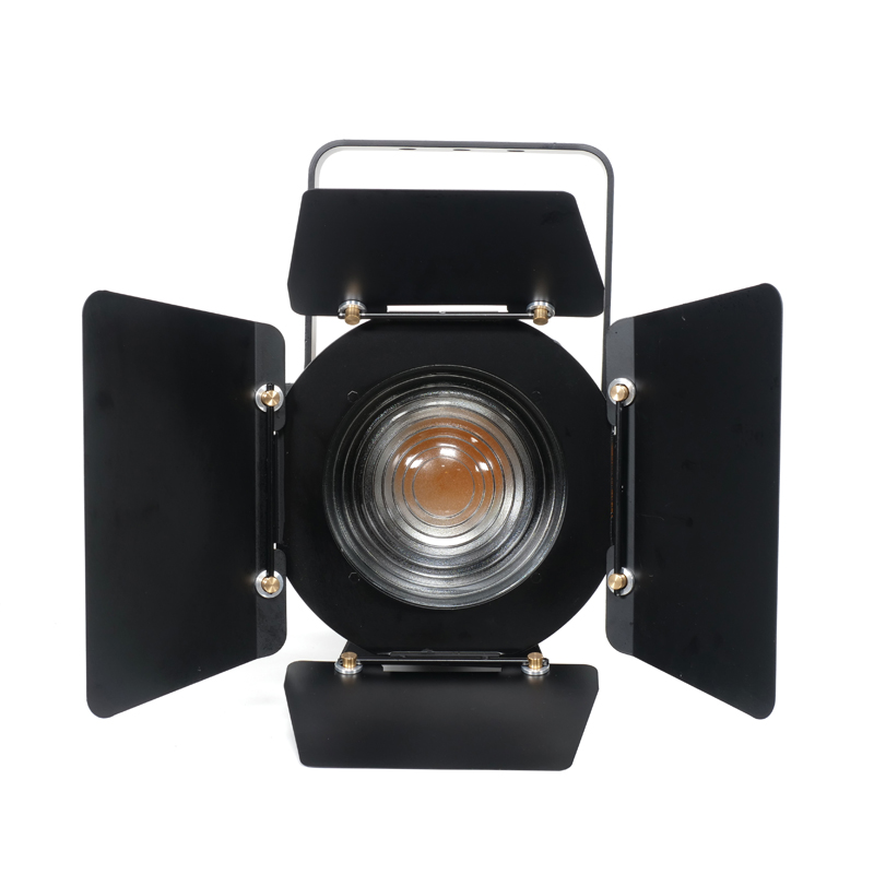 LED Fresnel Light in a Studio Setup