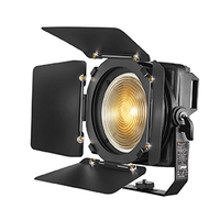 led fresnel light.jpg